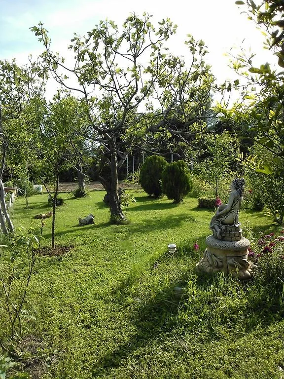 Apartments Lana Starigrad Paklenica Chorvatsko